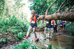 BIB: 
                            <button type="button" onclick="openModal(25514495)" class="btn btn-primary btn-sm float-right btn-popup" data-toggle="modal" data-target=".modal-high-quality">
                        <i class="fas fa-shopping-cart"></i> Add to Cart
                    </button>
                                            <button type="button" onclick="isThisMe(25514495, true)" class="btn btn-success btn-sm float-right btn-popup btn-isme hidden" data-toggle="tooltip" data-placement="bottom" title="นี่คือรูปของคุณใช่ไหม คลิกที่นี่เพื่อเอาเข้าอัลบั้ม">
                        <i class="fas fa-plus"></i> Add to album
                    </button>
                    <button type="button" onclick="isThisMe(25514495, false)" class="btn btn-warning btn-sm float-right btn-popup btn-isnotme hidden">
                        <i class="fas fa-ban"></i> Remove from album
                    </button>